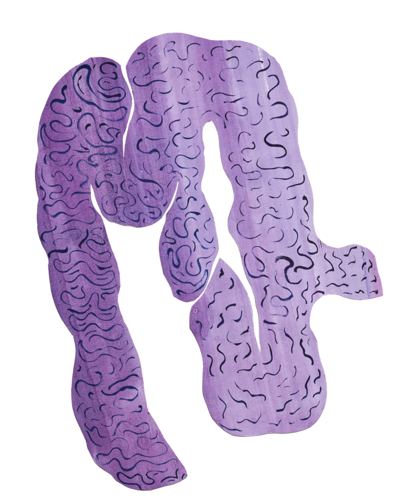 山の腸（紫）